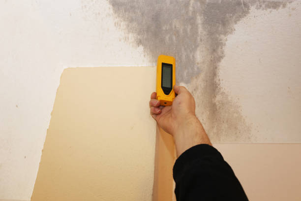 Mold Documentation for Insurance Claims in Akron, IA