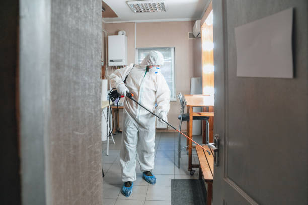 Reliable Akron, IA Mold Removal Solutions