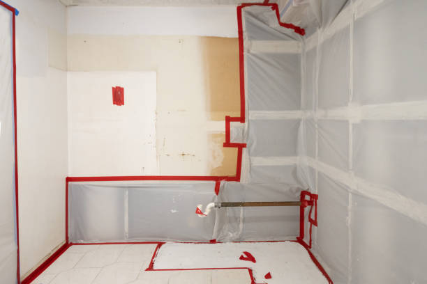 Best Commercial Mold Inspection  in Akron, IA
