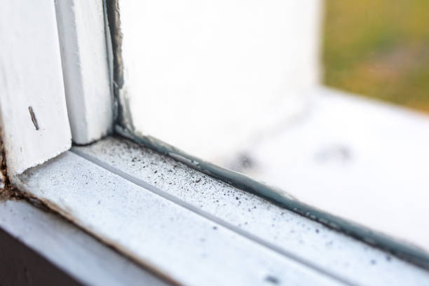 Best Mold Odor Removal Services  in Akron, IA