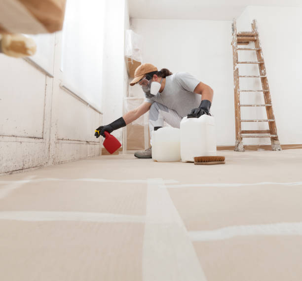  Akron, IA Mold Removal Pros